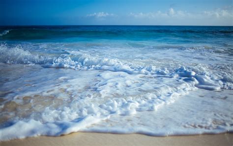 Ocean breeze - WaveRunners Compete at 2023 Manhattan College Cross Country Invitational. Ocean Breeze WaveRunners | 10.17.2023. Join the Team! Registration Now Open for the 2024 Ocean Breeze WaveRunners Outdoor Track & Field …